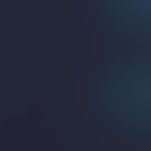 Fundraising Page: Lauren Ranieri